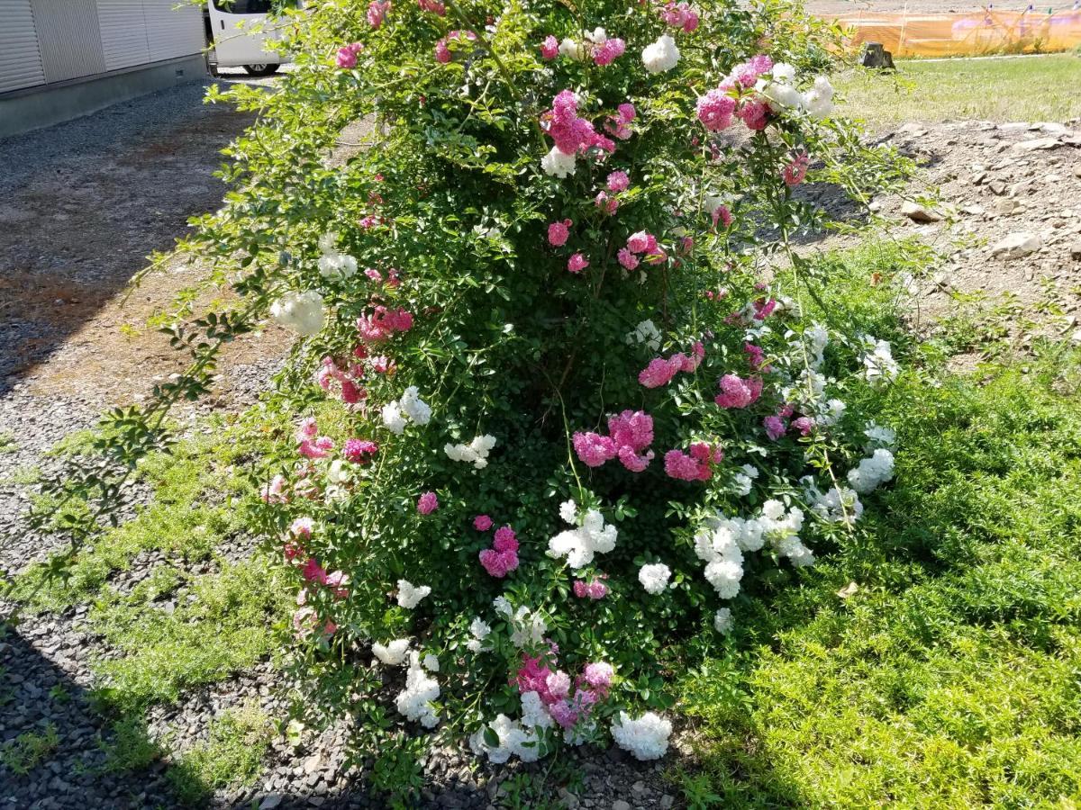Cottage Morino Nakamatachi NakaNakafurano Eksteriør billede